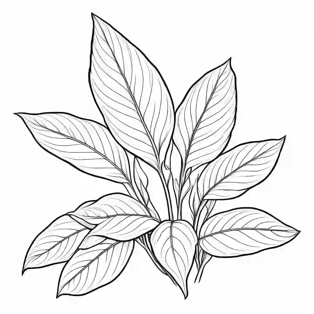 Healing Herb coloring pages